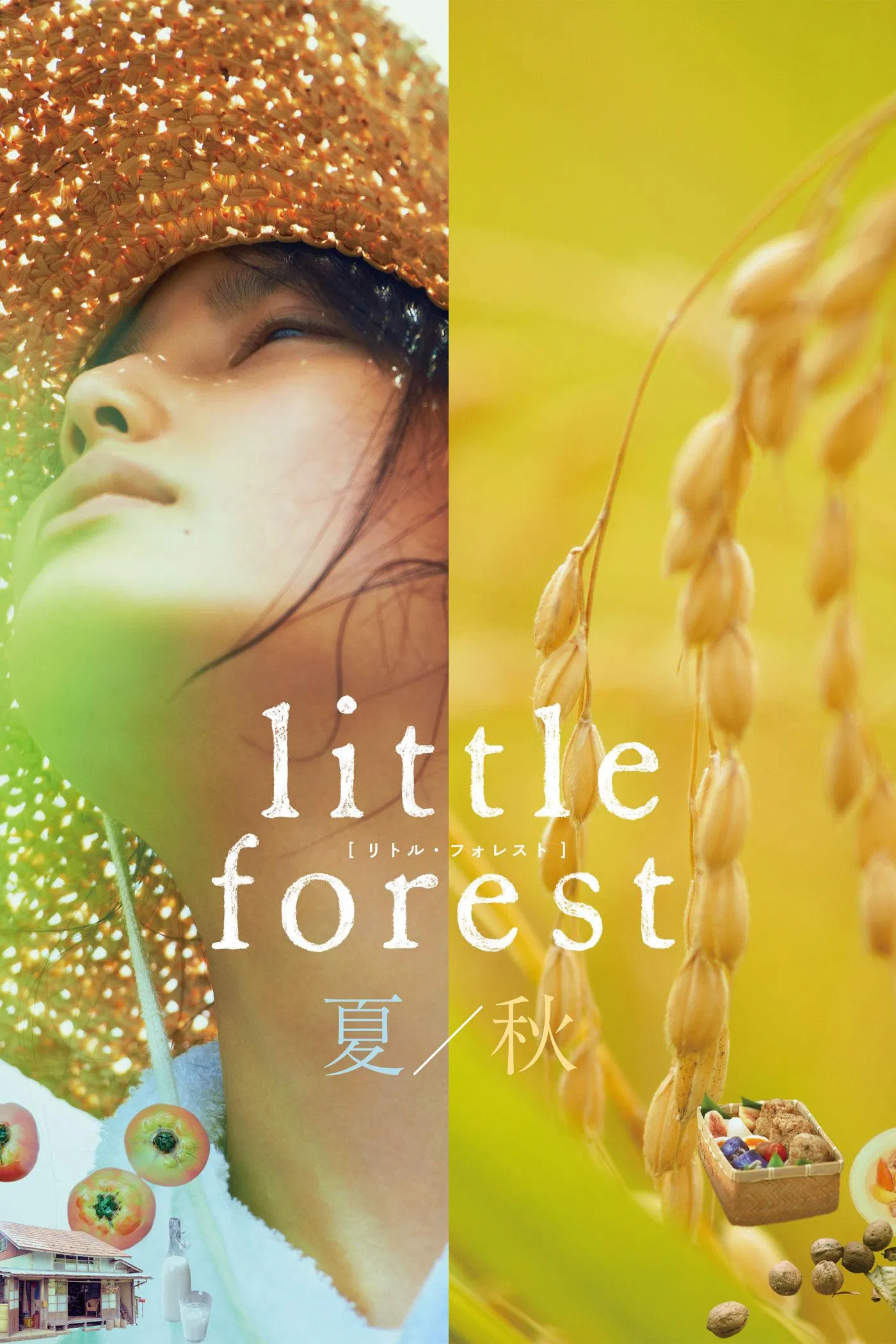 Little Forest: Summer/Autumn 2014 جنگل کوچک تابستان پاییز